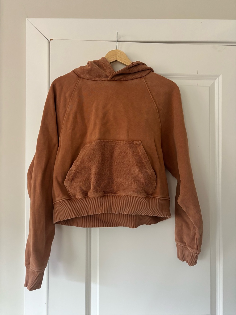 aerie Rust Cropped Hoodie